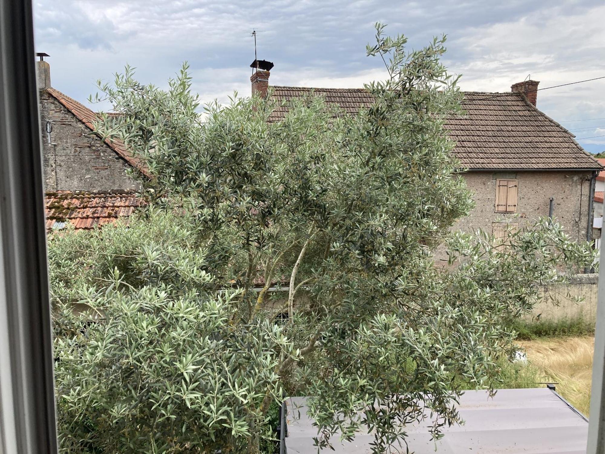 Location Appartement Des Pyrenees Borderes-sur-l'Echez Oda fotoğraf